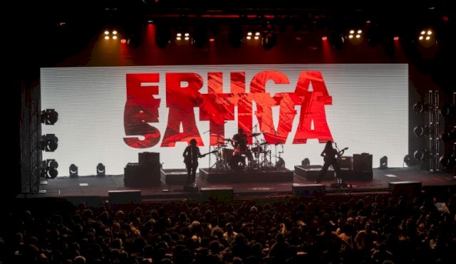 sativa